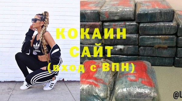 дмт Абаза