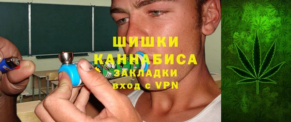 дмт Абаза