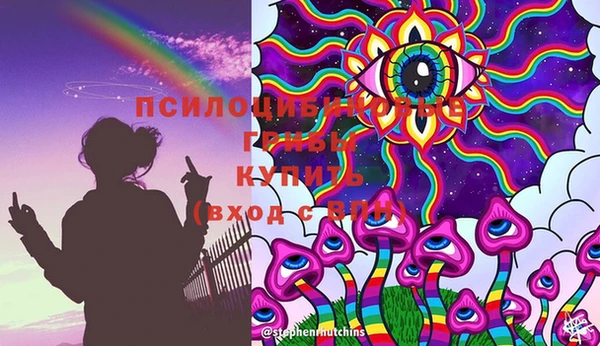 Альфа ПВП Протвино