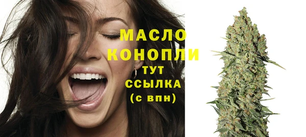 дмт Абаза