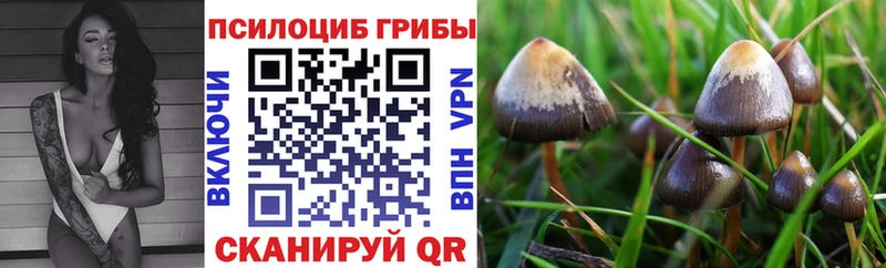 Псилоцибиновые грибы ЛСД  где можно купить   omg как зайти  Вилючинск 